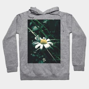 Daisy Hoodie